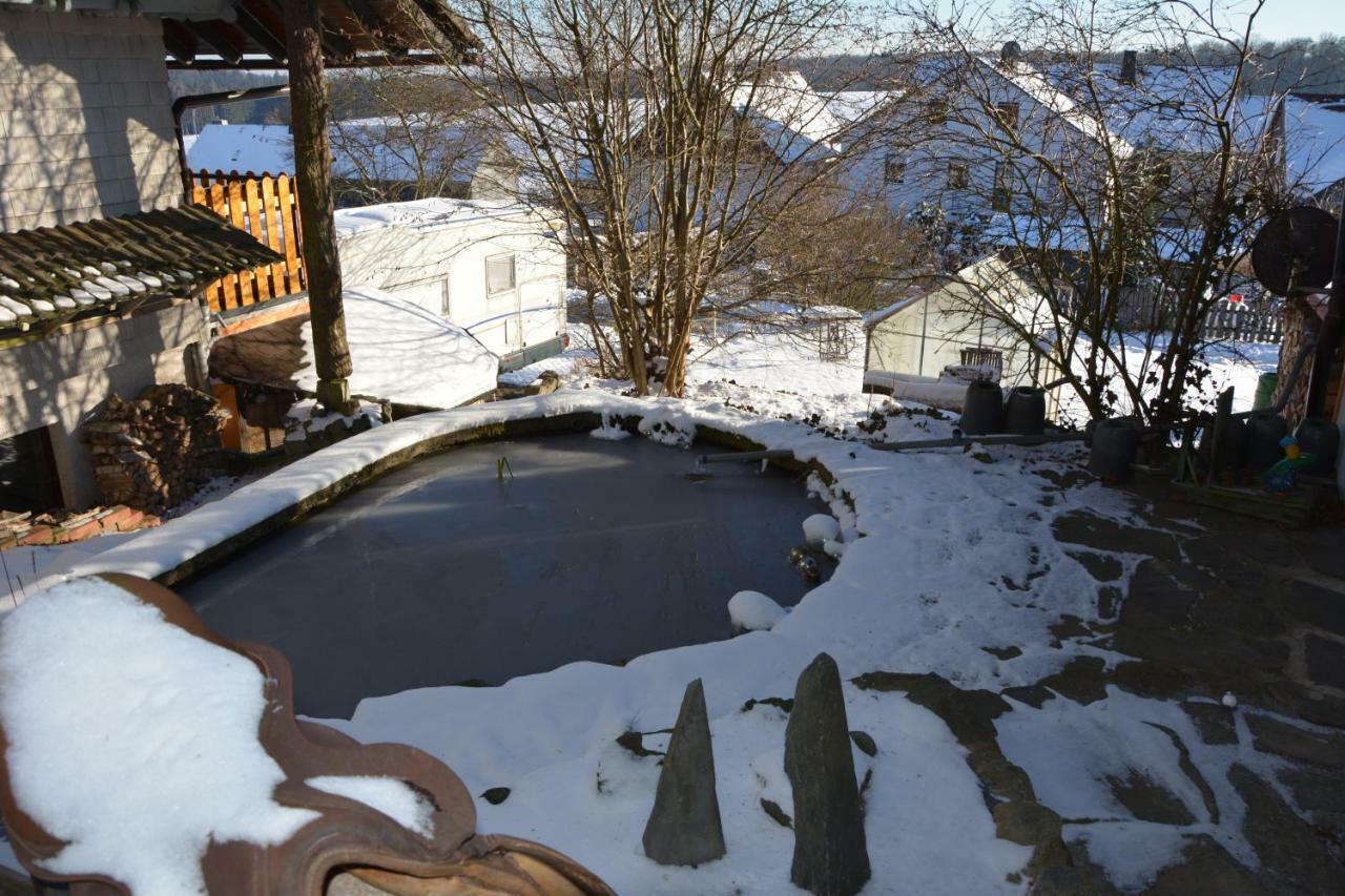 Ferienhaus Winterberg Bromskirchen Экстерьер фото